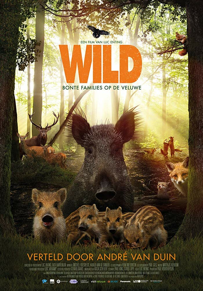 Wild (2018) постер