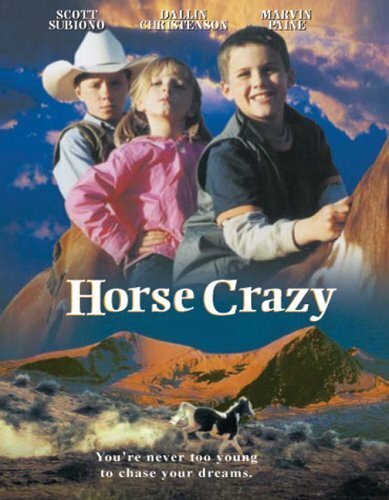 Дикая лошадь (2001) постер